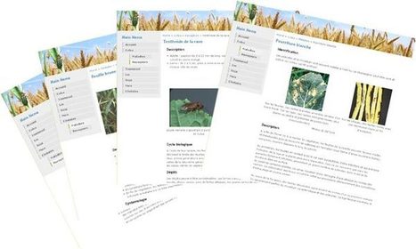 Fiches de données agronomiques | Les Colocs du jardin | Scoop.it