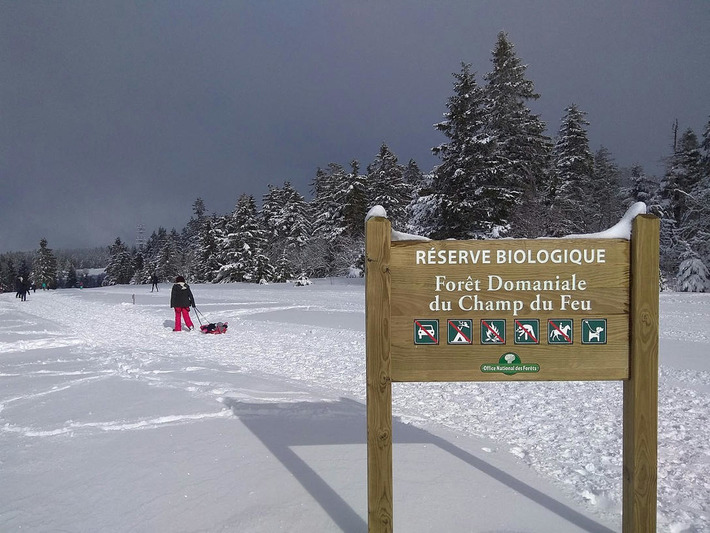 Pourquoi cette station de ski proche de Strasbourg va augmenter ses prix pour l'hiver | Th&eacute;matique Montagne | Scoop.it