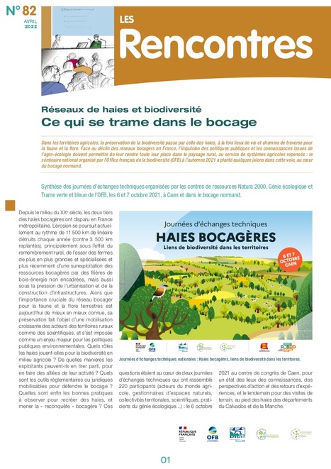 Réseaux de haies et biodiversité - Ce qui se trame dans le bocage - n°82 | ECOLOGIE - ENVIRONNEMENT | Scoop.it