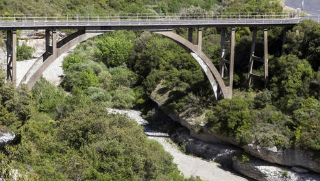 Sécheresse : alerte générale sur les réserves d'eau de la région, cinq questions pour comprendre cette crise "historique" | Perte Infrastructures-Fournisseur | Scoop.it