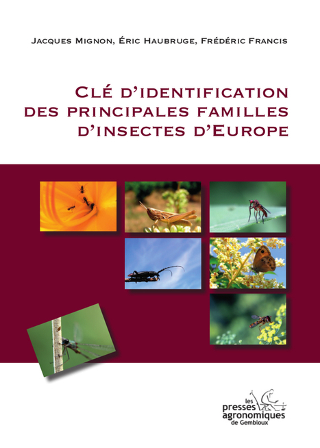 Clé d'identification des principales familles d'insectes d'Europe - Entomologie fonctionnelle et évolutive | Insect Archive | Scoop.it