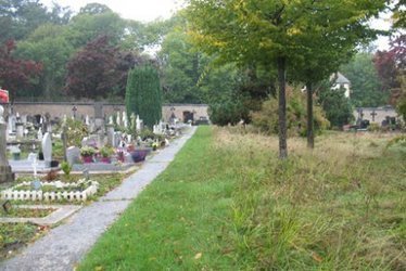 Versailles invente le cimetière aux herbes folles | Paysage - Agriculture | Scoop.it