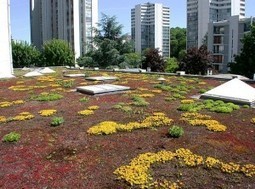 Des toitures végétalisées pour mieux isoler | Build Green, pour un habitat écologique | Scoop.it