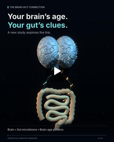 Gut Bacteria Linked to Brain Aging and Cognitive Decline | Michael Bass, M.D. posted on the topic | NeuroImmunology | Scoop.it