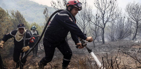 Incendies en ALGERIE : l&rsquo;exceptionnelle r&eacute;silience du peuple comme ressource politique du&nbsp;pouvoir | CIHEAM Press Review | Scoop.it