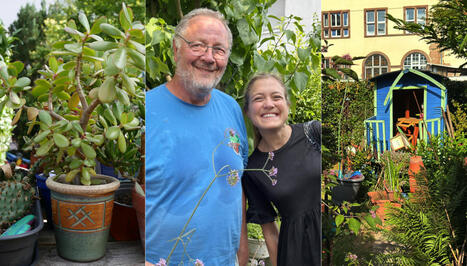 Passion nature : à Strasbourg, un jardinier de 68 ans soigne nos plantes gratuitement ! | Strasbourg Eurométropole Actu | Scoop.it