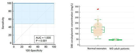 IJNS | Technical Study of Automated High-Throughput High-Sensitive Ceruloplasmin Assay on Dried Blood Spots—Reinstate the Potential Use for Newborn Screening of Wilson Disease | dépistage néonatal | Scoop.it