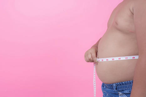 L’obésité en France : un coût de 10,6 Mds€ par an pour la collectivité | CARDIOVASCULAR PREVENTION - PREVENTION CARDIOVASCULAIRE - BEHAVIOR CHANGES - CHANGEMENTS DE COMPORTEMENTS | Scoop.it