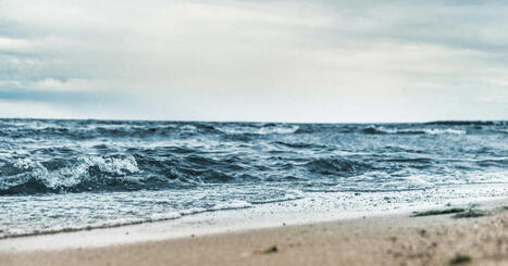 Mer Baltique: ce processus permettrait d'extraire le phosphore de l'eau | Biodiversit&eacute; - @ZEHUB on Twitter | Scoop.it