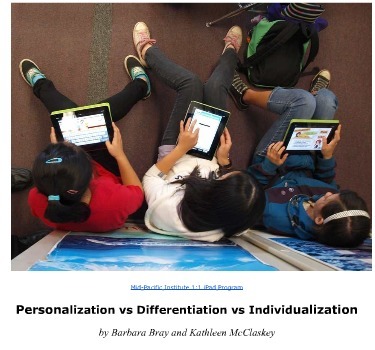 Free Report Explaining the Personalization Chart | Barbara Bray and Kathleen McClaskey | UDL - Universal Design for Learning | Scoop.it