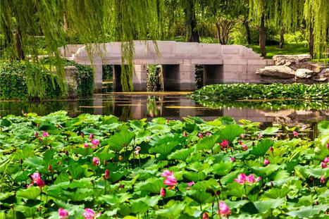 Ancient Chinese Gardens Can Help Mitigate Modern Chinese Urban Heat | World Science Environment Nature News | Scoop.it