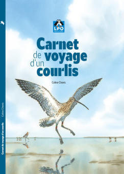 BD Carnet de voyage d'un Courlis - Coline Chevis | Biodiversité | Scoop.it