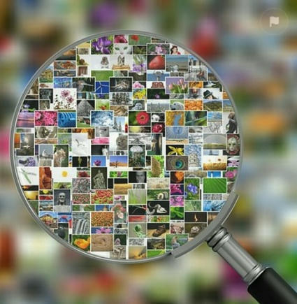 L’éducation dans l'écosystème contemporain (1) - Educavox, Ecole, pédagogie, enseignement, formation | ASTUTICE EN FLE | Scoop.it