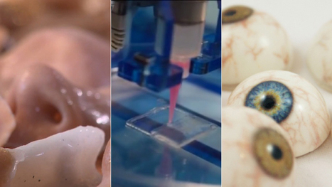 How 3D Printers Are Cranking Out Eyes, Bones, and Blood Vessels | 21st Century Innovative Technologies and Developments as also discoveries, curiosity ( insolite)... | Scoop.it