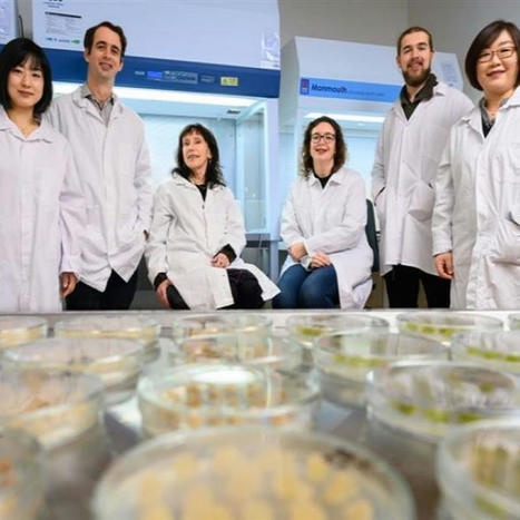 Cell-based fruit: Researchers combine plant biology and food science to explore cellular horticulture | Innovation Agro-activités et Bio-industries | Scoop.it
