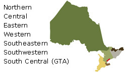 Ontario Offers Tips For Safe Surfing