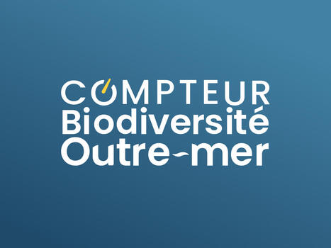 Compteur Biodiversit&eacute; Outre-mer | Biodiversit&eacute; | Scoop.it