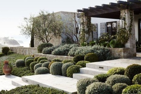 Garden near the beach | 1001 Gardens | 1001 Gardens ideas ! | Scoop.it