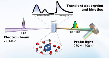ICP science -&nbsp;Role of Oxide-Derived Cu on the Initial Elementary Reaction Intermediate During Catalytic CO2 Reduction - JACS | Infos Lab' novembre 2025 | Scoop.it