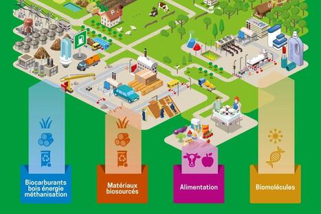 Bioéconomie : Une stratégie nationale pour la biomasse | ITERG Environnement et Eco-industries | Scoop.it