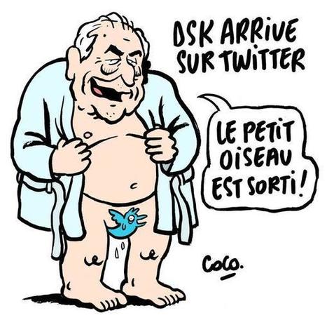 Coucou ! | Epic pics | Scoop.it