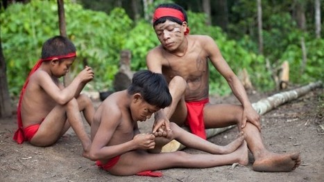 Resistance to antibiotics found in isolated Amazonian tribe | Rainforest CLASSROOM | Scoop.it