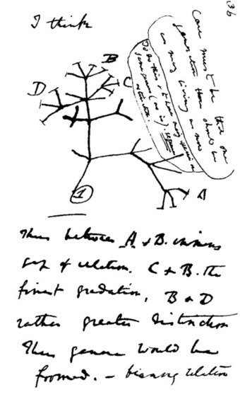 Charles Darwin | Wikiwand | 1Uutiset - Lukemisen tähden | Scoop.it