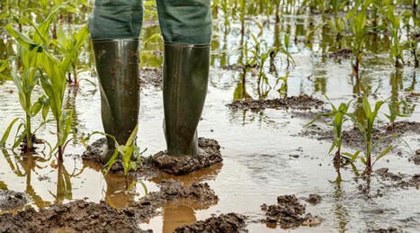 A quoi s'attendre pour l'agriculture à horizon 2050 ? | Elevage et environnement | Scoop.it
