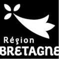 Appel à projets Bretagne - Accompagnement à la digitalisation des formations (Nouvelle session du comité de sélection) | Formation : Innovations et EdTech | Scoop.it