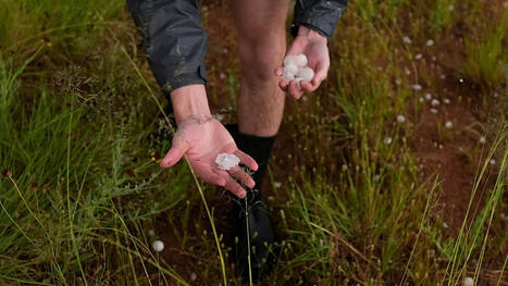 Climate change is fuelling 'large marble-sized' hailstones and EUROPE isn't immune&nbsp; | CIHEAM Press Review | Scoop.it