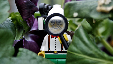 Engineers use LEGOs for cheaper plant research | Plant Molecular Farming | Scoop.it