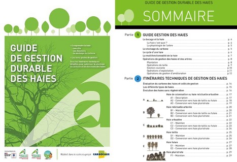 Guide de gestion durable des haies | Lait de Normandie... et d'ailleurs | Scoop.it