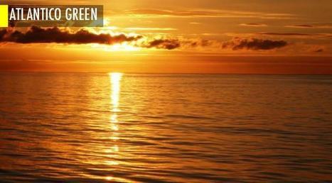 Coup de chaud : le réchauffement des océans est bien plus important que ce que l'on croyait | Biodiversité | Scoop.it