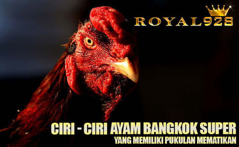 Ciri Ciri Kaki Ayam Kuat Dan Pukul Keras Sabung Ayam Online