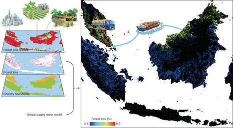 Mapping the deforestation footprint of nations reveals growing threat to tropical forests | Biodiversité | Scoop.it