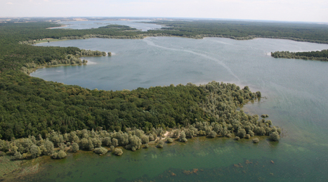 464 hectares de la forêt d’Orient rachetés par le Conservatoire du littoral | Biodiversité | Scoop.it