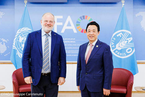 CIHEAM : The promotion of the Mediterranean diet at the heart of the exchanges between the DG of the FAO and the SG of the Mr Teodoro Miano | CIHEAM Press Review | Scoop.it