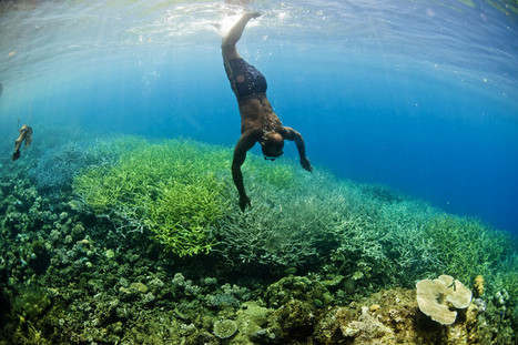 Melanesia's oceans are worth US$5.4 billion but are at environmental crossroads | Coastal Restoration | Scoop.it
