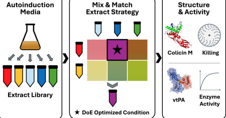 Modular Cell-Free Extract Mixing Enables Soluble, Active Biomanufacturing of Difficult-to-Express and Aggregation-Prone Proteins | brvt | RMH | Scoop.it