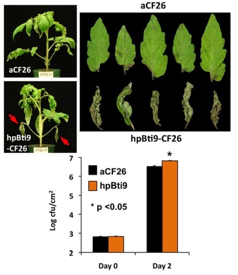 Plant J: A tomato LysM receptor-like kinase promotes immunity and its kinase activity is inhibited by AvrPtoB | Plants and Microbes | Scoop.it