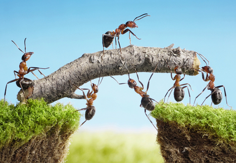 #Blockchain : La blockchain peut-elle renverser le management traditionnel ? - Maddyness | BlockChain | Scoop.it
