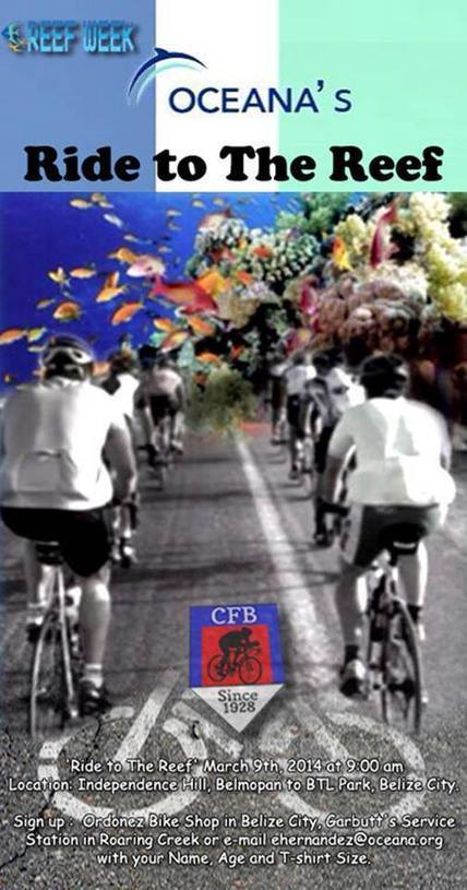 Ride to the Reef Race | Cayo Scoop!  The Ecology of Cayo Culture | Scoop.it