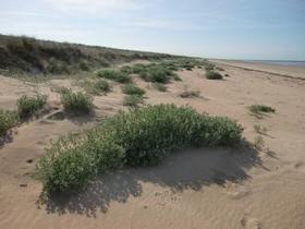 La France inscrit une vaste zone côtière sur la Liste de Ramsar | Biodiversité | Scoop.it