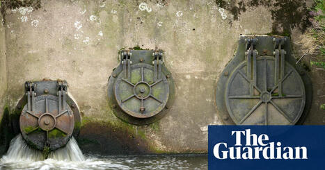 &lsquo;Outwitted&rsquo;: have water companies managed to sidestep Labour&rsquo;s bonus ban? | Water | The Guardian | Microeconomics: IB Economics | Scoop.it