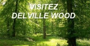 DELVILLE WOOD. | Autour du Centenaire 14-18 | Scoop.it