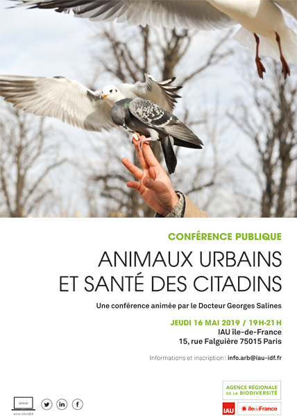 Conf&eacute;rence publique ARB &icirc;dF : "Animaux urbains et sant&eacute; des citadins" | Vari&eacute;t&eacute;s entomologiques | Scoop.it