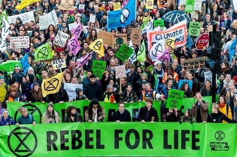 Sous la pression de la rue, le Parlement britannique est le premier au monde à décréter "l’urgence climatique" | Vers la transition des territoires ! | Scoop.it