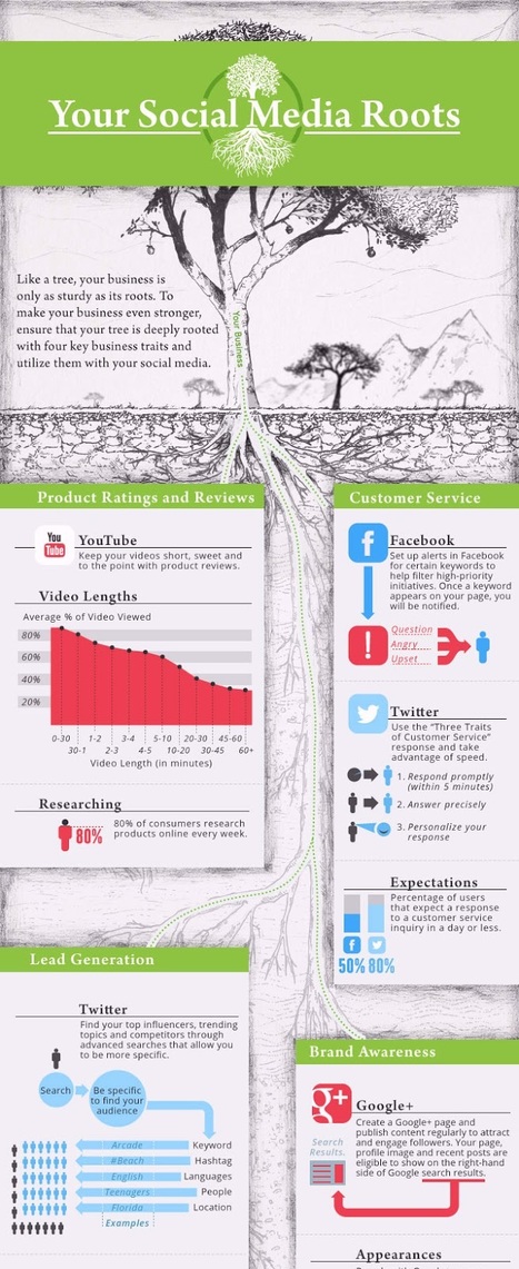 [infographie] Une entreprise c'est comme un arbre, ses racines doivent être solides ! | KILUVU | Scoop.it