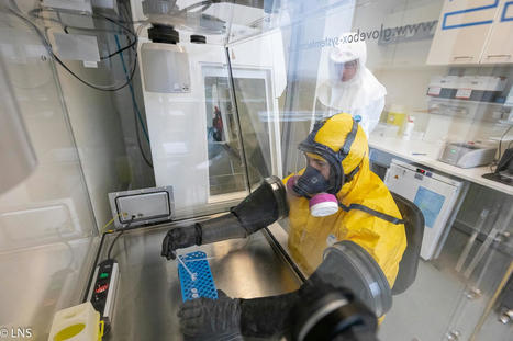 Le Luxembourg parmi les champions du séquençage du Covid | #CoronaVirus #COVID19 #Research #Europe  | Luxembourg (Europe) | Scoop.it