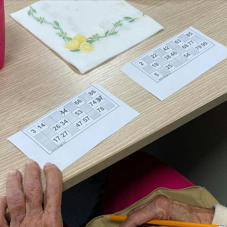 Un bingo en nuestro último encuentro familiar | Alzheimer y más (Boletín nº 70) | Scoop.it